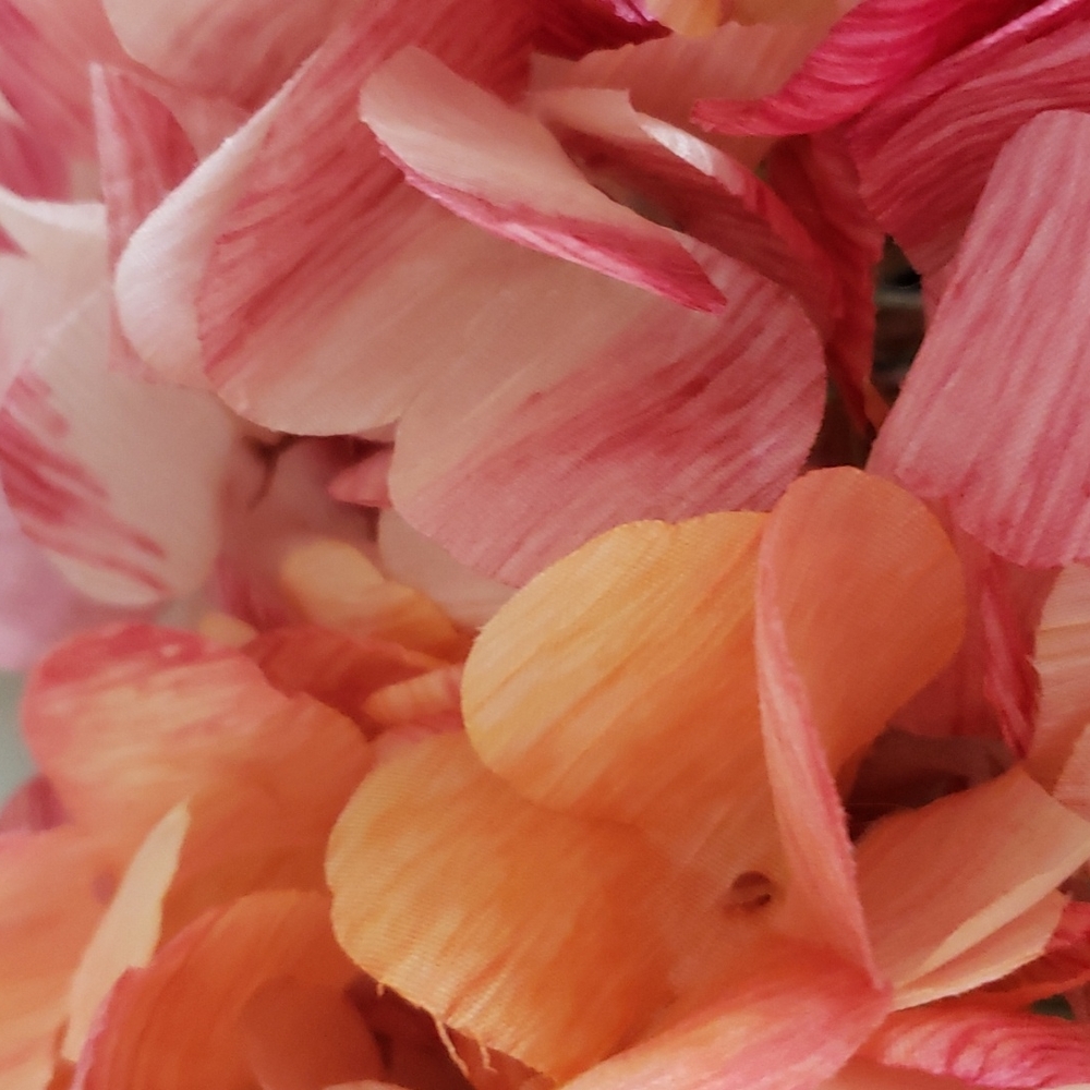 Meet your Posher, Cat